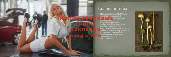 СК Горняк