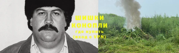 СК Горняк