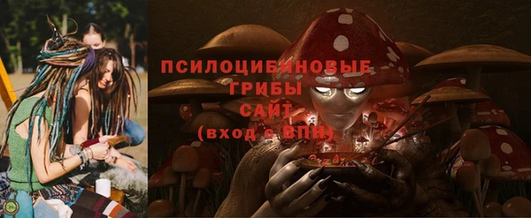 СК Горняк